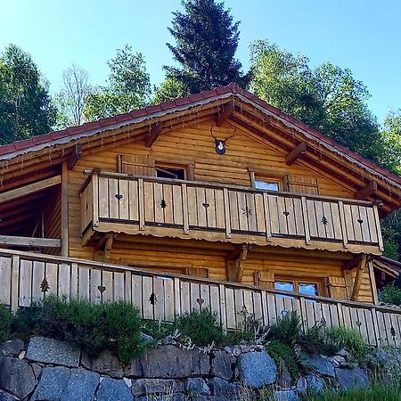 Chalet Typique Vosgien "Les Barbotines" Ventron Exteriér fotografie