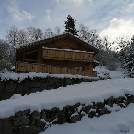 Chalet Typique Vosgien "Les Barbotines" Ventron Exteriér fotografie